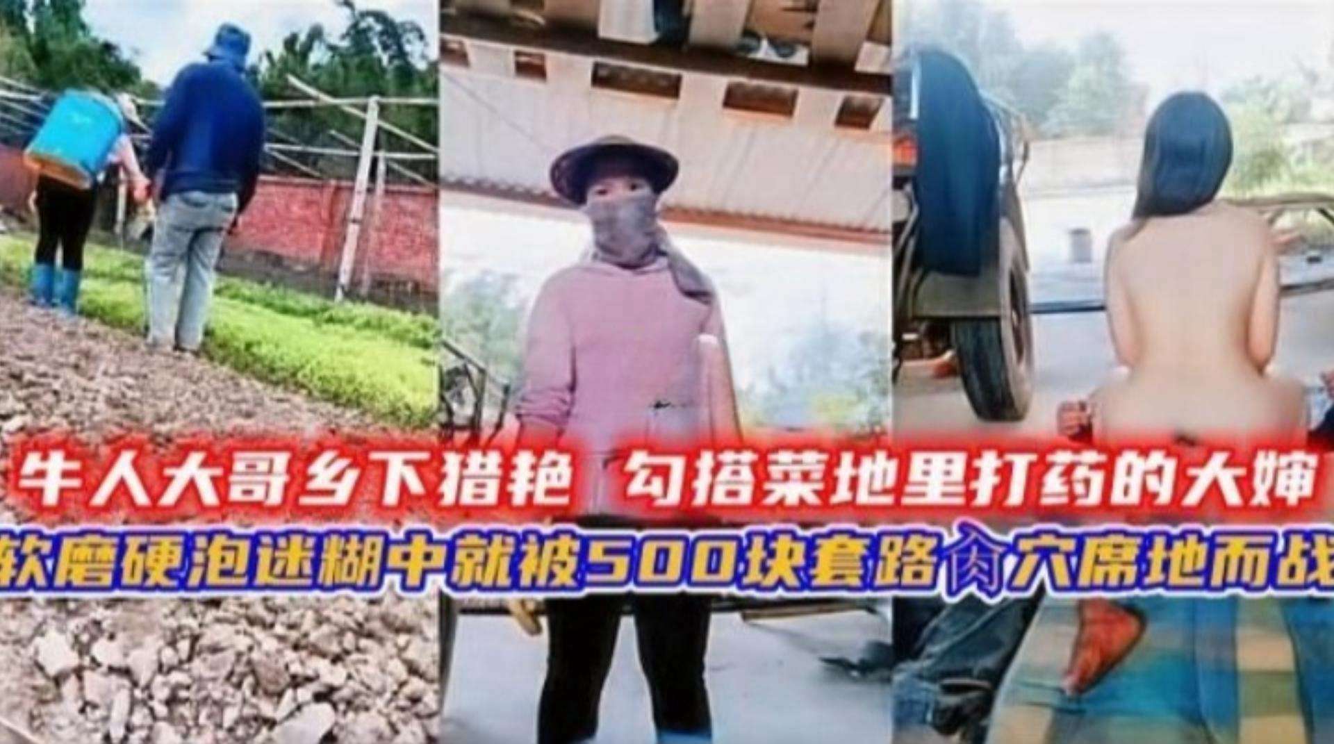 真实猎艳大哥乡下勾引菜地里的大婶软磨硬泡500块拿下野战操逼内射